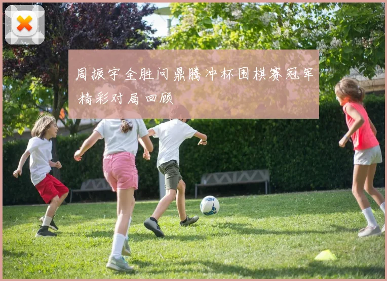 周振宇全胜问鼎腾冲杯围棋赛冠军 精彩对局回顾