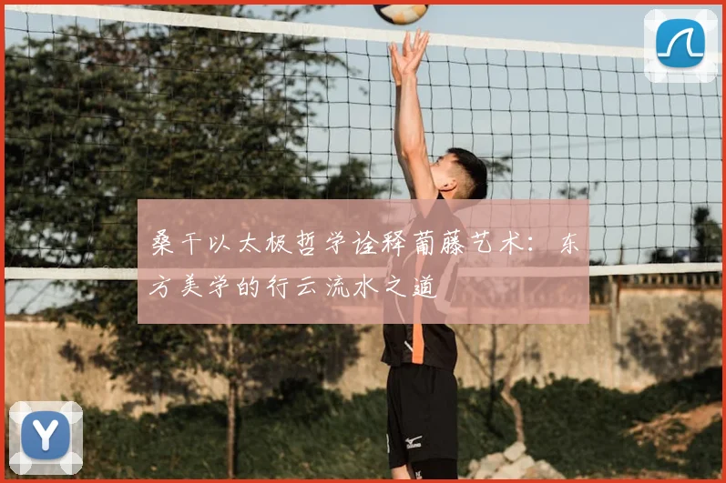 桑干以太极哲学诠释葡藤艺术：东方美学的行云流水之道